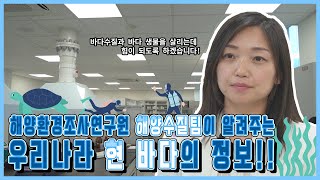 해양환경공단이 알려주는 우리나라 현 바다의 정보