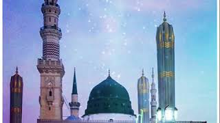 Jashne Eid E Milad'Un Nabiﷺ WhatsApp Status | 12 Rabi Ul Awwal Status 2020 | New Text Effect Status🥰