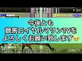 【京都大賞典2024】ウイポ枠確定後シミュレーション ブローザホーン サトノグランツ プラダリア ディープボンド スマートファントム 2980