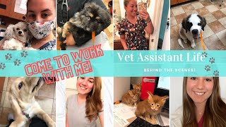 Hospital Tour! Come to work with me! Vet Assistant life