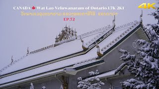 CANADA 🇨🇦 🍁 Wat Lao Veluwanaram of Ontario L7K 2K1 ວັດລາວເວລຸວະນາຣາມ ແຂວງອອນຕາຣິໂອ້ Jan.2025 EP.72