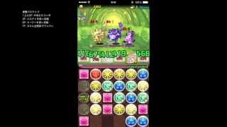 【パズドラ】解説付き　光の猫龍周回（覚醒バステト)