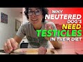 Why Your Dog Needs Testicles in Their Diet | The Combine Dog