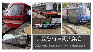 伊豆急行車両大集合2021プラレール電車鉄道博物館実車充実編～2100系リゾート21黒船＆金目鯛列車、東急カラー全形式と特急サフィール踊り子をはじめ185系、251系、E259系や伊豆クレイルもどうぞ