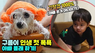 구름이 인생 처음 목욕 아빠 몰래 해야 하는 이유? 물건 너무 많이 사서 미안 ㅋㅋㅋ 국민이 강아지 택배 개봉기 아이랑 흔한 가족 일상 11번가 아마존 | 말이야와친구들