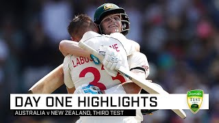 Labuschagne, Smith make Kiwis toil hard at the SCG | Third Domain Test v New Zealand