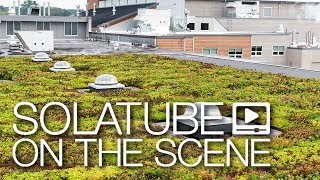 Solatube on the Scene: Bells Brewery