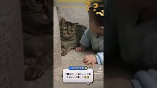 子猫は黙って赤ちゃんが耳を噛むのを断った。#mommyego #赤ちゃん #可愛い