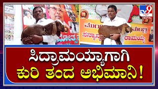 ಬೆಳ್ಳಂ ಬೆಳಿಗ್ಗೆ Siddaramaiah ಮನೆಗೆ ರಾಯಚೂರಿನಿಂದ ಕುರಿ ತಂದ ಅಭಿಮಾನಿ | Tv9 Kannada