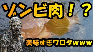 【ショアジギング】高級魚を熟成したら美味すぎたｗｗｗ