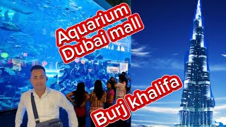 Dubai Mall Video Aquarium! Burj Khalifa