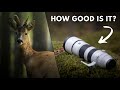 The lens of your WILDLIFE dreams - Sony FE 200-600 G OSS Long-Term Review