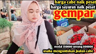 harga cabe hari ini semakin naik,sayuran gmpar,usaha untung banyak jualan cabe,7 des 2024