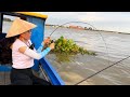 Không Ngờ Đụng Bầy Cá Tra Sông ĐỒNG NAI Kéo Đã Tay | Fishing on Dong Nai River