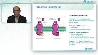 Neurophysiology and neurochemistry: dopamine