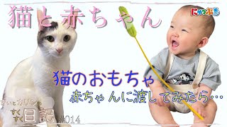 【猫と赤ちゃん】大切な猫じゃらしを妹に取られ、拗ねてしまった猫の行動が可愛すぎました☆きぃとカリンのすくすく日記☆【にゃっぷる】#猫動画#育児 #猫と赤ちゃん #ねこのいる生活#猫 #ねこ#日常