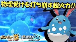 どんな相手もお腹ポンポンで解決！ 全てのポケモンに輝きをシリーズ：マリルリ編【ポケモンＵＳＵＭ】