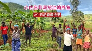 小伙在非洲挖大池塘养鱼，3个月后看成果