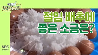 [역전의부자농부 222회] 절임 배추에 좋은 소금은?