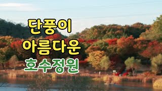 서울근교가을 단풍 여행~'인천대공원BEST6'힐링영상