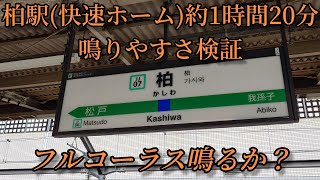 【フルコーラス鳴るか？】柏駅(快速ホーム)で約1時間20分鳴りやすさ検証してみた結果  第29弾