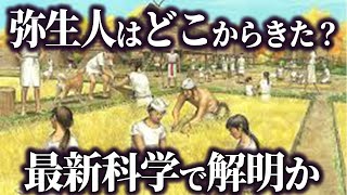 【ゆっくり解説 】弥生人はどこから来たのか、最新科学で解明か！！