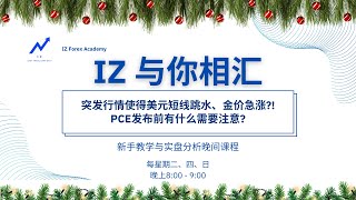 突然行情使得美元短线跳水，金价急涨？！PCE发布前有什么需要注意？1121✨［IZ与你相汇］晚间线上课程