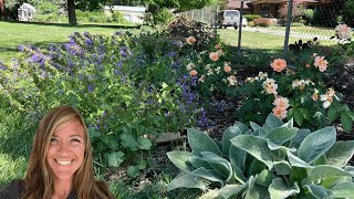 Create your first Flowerbed! Successfully create a flowerbed for Beginners!//FlowerFanatic