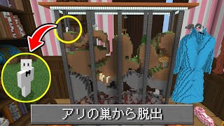 【マイクラ】アリの巣の世界でサバイバル【マインクラフト】