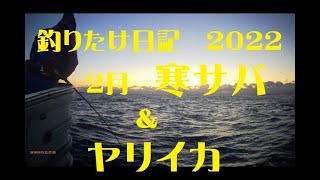 寒サバ＆ヤリイカ 太海港　聡丸