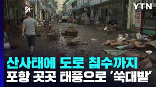 산사태에 도로 침수까지...포항 곳곳 태풍으로 '쑥대밭' / YTN