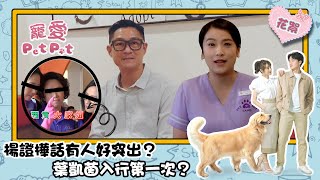 寵愛Pet Pet ｜寵物診所職員介紹篇 葉凱茵入行第一次？楊證樺話有人好突出？｜寵物｜劇集｜港劇｜電視劇