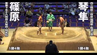 Shinohara vs Kotohayato Day 12 Sumo Nagoya Basho July 2014