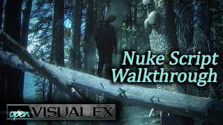 Nuke Demo Script Walkthrough