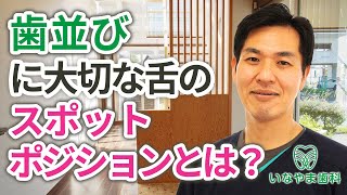 歯並びに大切な舌のスポットポジションとは？【千葉県八千代市村上駅近くの歯医者 いなやま歯科】