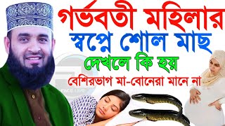 গর্ভবতী মহিলার স্বপ্নে শোল মাছ দেখলে কি হয় বেশিরভাগ মা-বোনেরা মানে না মিজানুর রহমান. 29 ugin  i