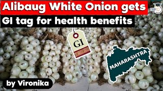 Geographical Indication Tag awarded to Alibaug's White Onion for health benefits - Maharashtra PSC