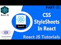 31 | CSS Stylesheets In React | External CSS | CSS React | Styling Component In React (Hindi/Urdu)