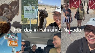 Hidden Gems in Pahrump Nevada | Local Café + Petting Zoo Surprise