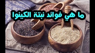 لن تصدق ان فى نبتة الكينوا كل هذه الفوائد الصحية والعلاجية المذهلة !! سبحان الله