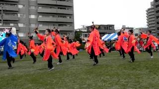 よさこい星華隊さん（R）／湘南よさこい祭り2011