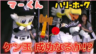 2023/4/22 マーくん＆ハリーホークのヒゲダンス ケン玉成功なるか!?