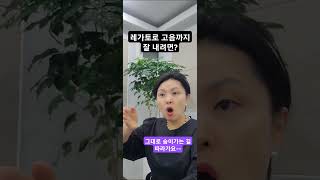 더솔아르떼(서초점)   목요그룹반 /레가토로 고음까지 잘 내려면? #더솔아르떼성악아카데미 #성악발성 #오페라반