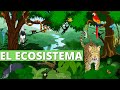 What is an ecosystem? Types, components and examples🏞️🌊🏜️