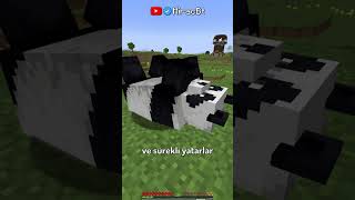 Minecraft'ta 60 Saniyede Pandalar ⛏🧿