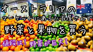 【オーストラリアのマーケット】八百屋さんで野菜と果物を買う\u0026値段チェック| オーストラリアの物価、食品って高い? | オーストラリアの巨大野菜| Veggie market in Australia