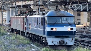 【EH500-5  OM入場無動回送（臨検）】JR貨物EF210形111号機（新塗装）＋ムドJR貨物EH500形5号機が大宮駅13番線に到着するシーン（単8283レ・臨A991）2023.10.23