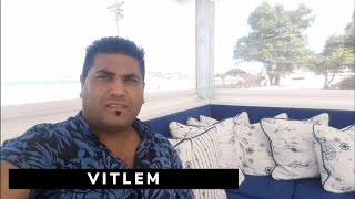 Brat Sezgin-Vitlem 2017