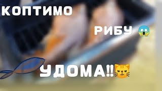 КОПТИМО РИБУ ПОКИ ВОНА НЕ ЛОВИТЬСЯ😜