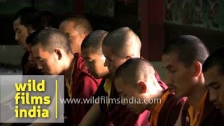 Monks gather to worship Lord Buddha at Mindrolling Monastery